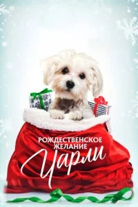 Рождественское желание Чарли (2020)