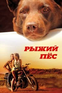 Рыжий пес (2011)