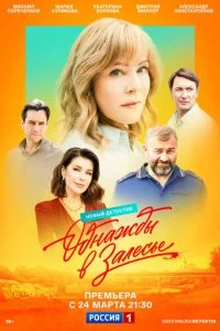 Однажды в Залесье (2025)